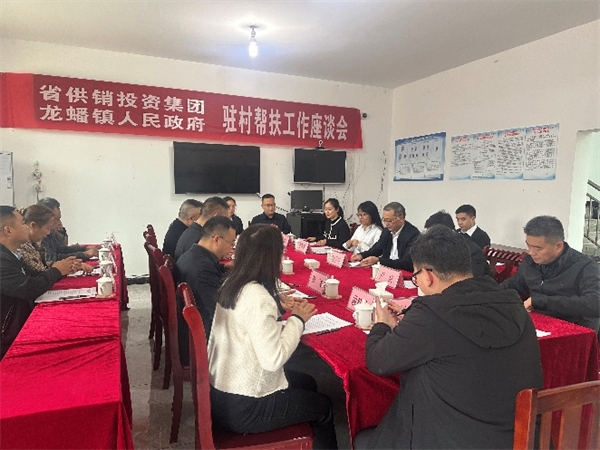 省供投集团党委书记、董事长苟学川带队赴南充市嘉陵区调研驻村帮扶工作