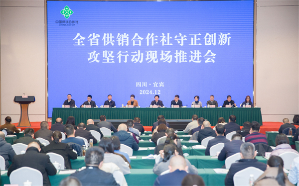 四川省尊龙集团中国官方网站社&ldquo;守正创新&rdquo;攻坚行动现场推进会在宜宾市召开