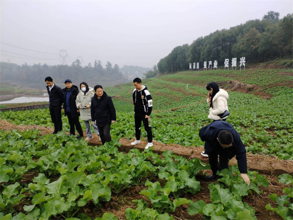 春耕备耕进行时&mdash;&mdash;四川尊龙集团中国官方网站在行动系列报道②