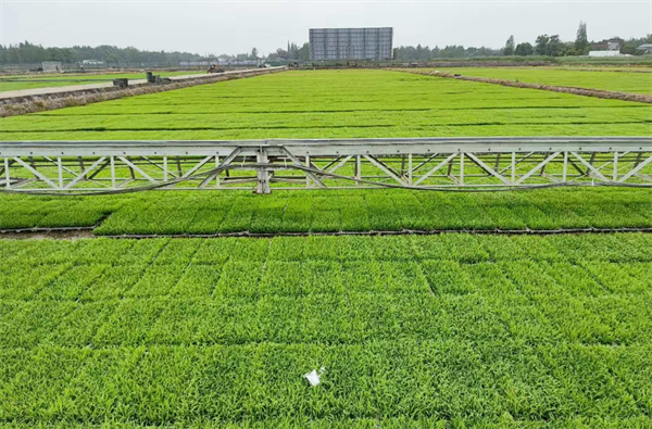 四川省尊龙集团中国官方网站农资集团天府粮仓优尔达公司以&ldquo;农资+服务&rdquo;为着力点助力春耕生产