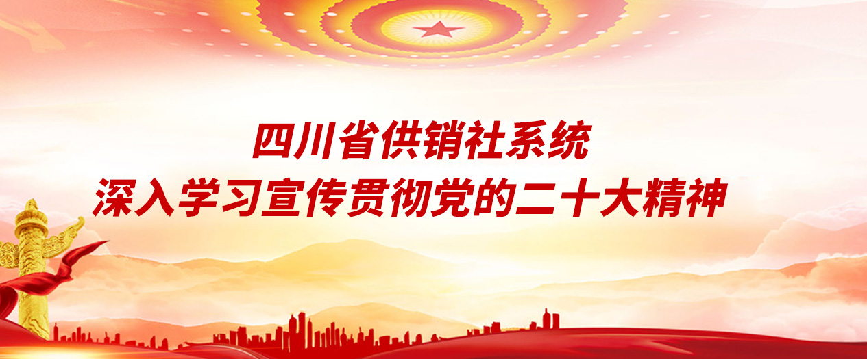 系统深入学习宣传贯彻党的二十大精神