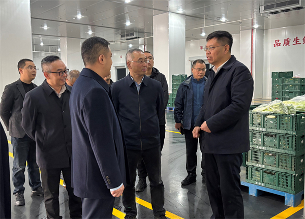 肖小余带队调研监督四川尊龙集团中国官方网站老邻居智慧云仓冷链物流中心建设项目